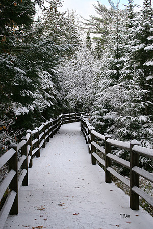 Winter walkway