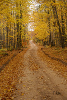 Fall Road