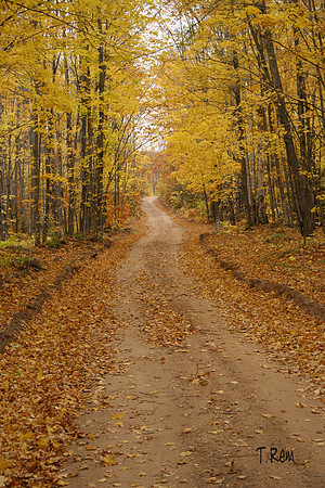 Fall Road