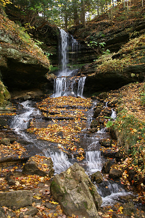 Horseshoe Falls
