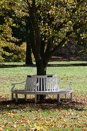 Park bench