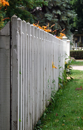 Fence