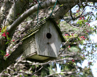 Bird house
