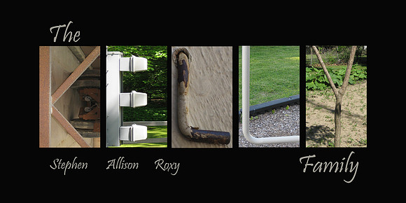 Unique alphabet created pictures