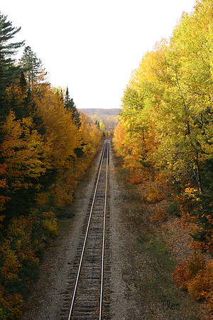 Fall Tracks