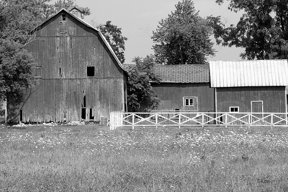 Barn